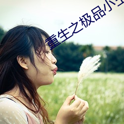 重生之极品小王爷