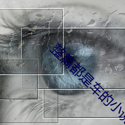 整篇都是車的小說推薦言情