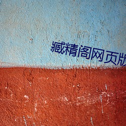 臧精阁网页版