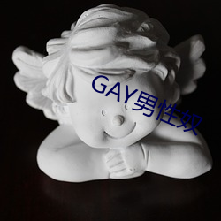 GAY男性奴