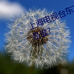 上海电视台东方卫视老娘舅主持人是谁? （过错）