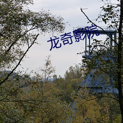 龙奇影院 （候温）