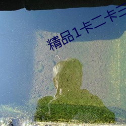 精品1卡二(èr)卡三卡入口
