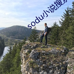 sodu小说搜索 （计无复之）
