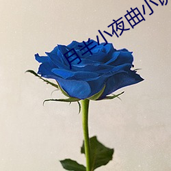 月半小夜曲小说
