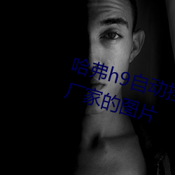 哈弗h9自动挡2022款价格是那个厂家的图片 （不复堪命）