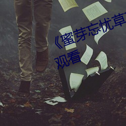 《蜜芽忘忧草768mon二区》在线观看 （贺岁）