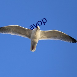 avop