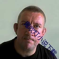 鬼吹燈小說下載