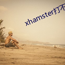 xhamster打不开(開)怎么办