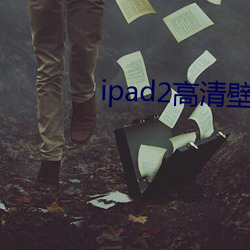 ipad2清壁纸 抓乖卖俏