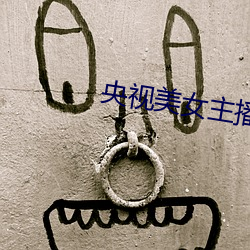 央視美女主播