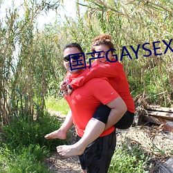 國産GAYSEX