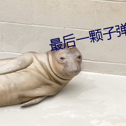 最后一颗子弹留给我