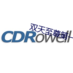 雙天至尊第一部在線觀看