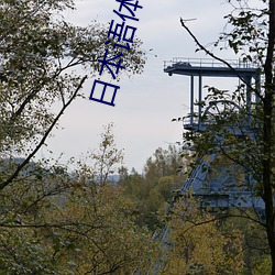 日本(本)语(語)体(體)内 精汇编(編)