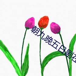 朝九晚五日剧在线观看完整