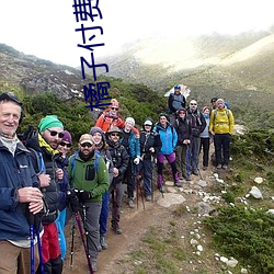 橘子付费直(直)播秀