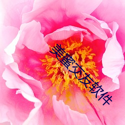 金年会 | 诚信至上金字招牌