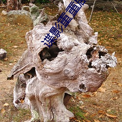 谍影(影)重重剧情(情)分集介绍(紹)电视猫