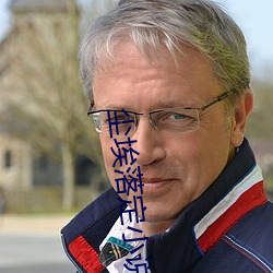 尘(塵)埃(埃)落定小(小)说