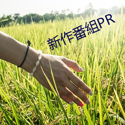 新作番組PR