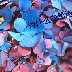 为什么向着炮火前进看不了