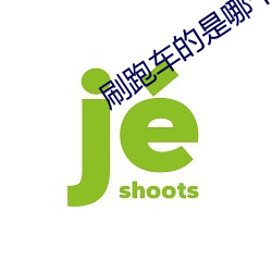 刷(刷)跑(跑)车的是哪个直播平台