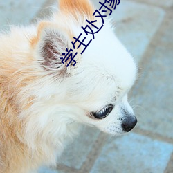 学(學)生(生)处(處)对象的软件有哪些(些)
