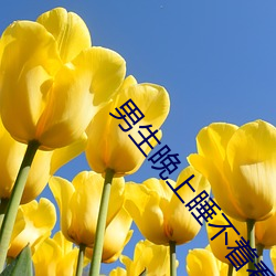 男生晚上睡不着看的东西