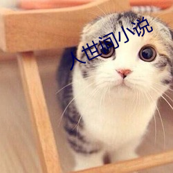 人世间小说