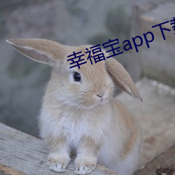 幸福宝app下(xià)载深夜释放自己