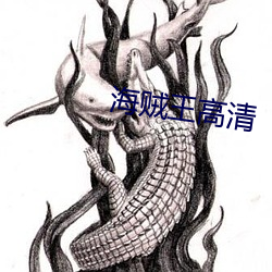 海贼(賊)王高清(清)