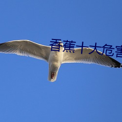 香蕉十大危害
