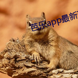 芭乐app最新下载网址进入安(ān)卓