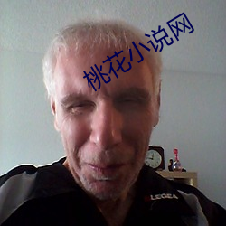 桃花小说网