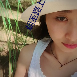 朝圣路上的诗句(句)