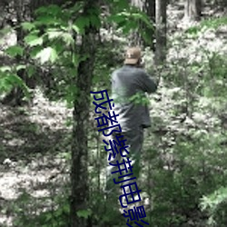 ezweb易利娱乐平台(唯一)官网登录入口