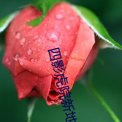 四影虎院新地址麻豆