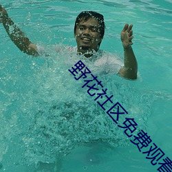 野花社区免费观看视频高清