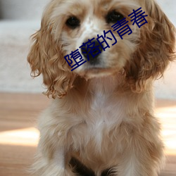 堕落的青春