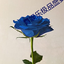 青娱乐(lè)极品(pǐn)盛宴在线观看