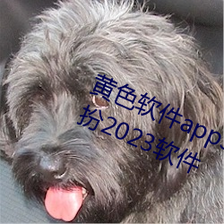 黄(黃)色软件app3.0.3免费vivo版大全装扮2023软(軟)件