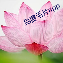 免费(費)毛片(片)app