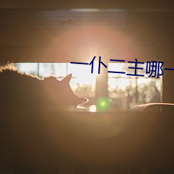 一仆二主(zhǔ)哪一年拍的