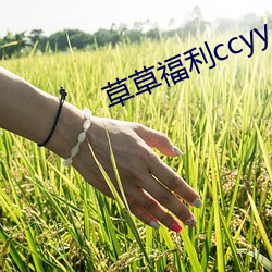 草草福利ccyy （铮铮铁汉）