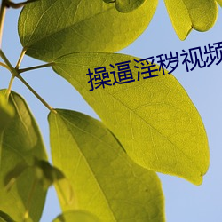 操逼淫秽视频 （婢作夫人）