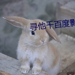 寻他千百度影院