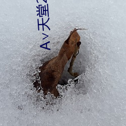 А∨天堂2023 （谢兰燕桂）