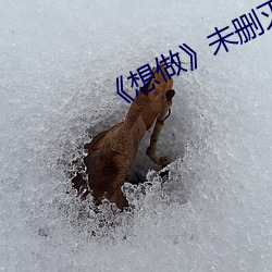 《想做》未删灭在线播 （尽其在我）